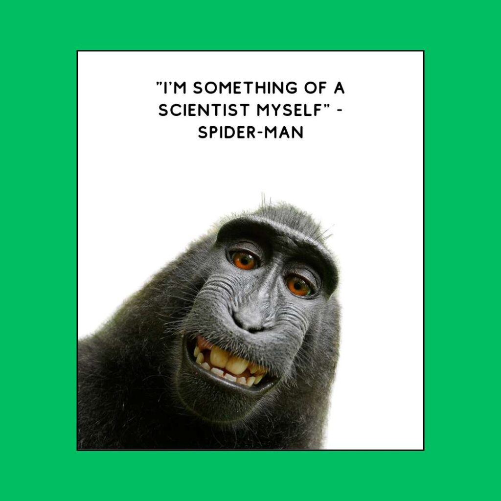 a monkey with a green background