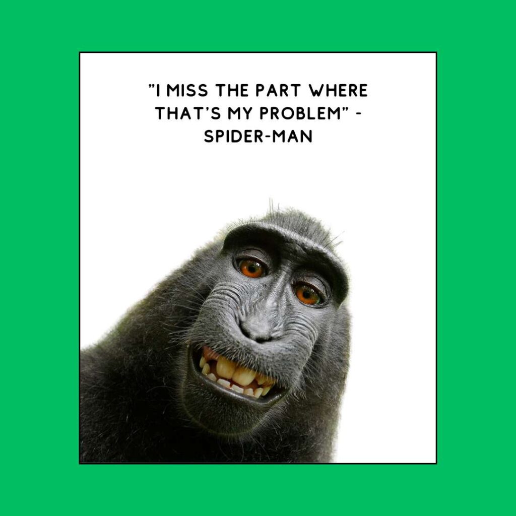 a monkey with a green background